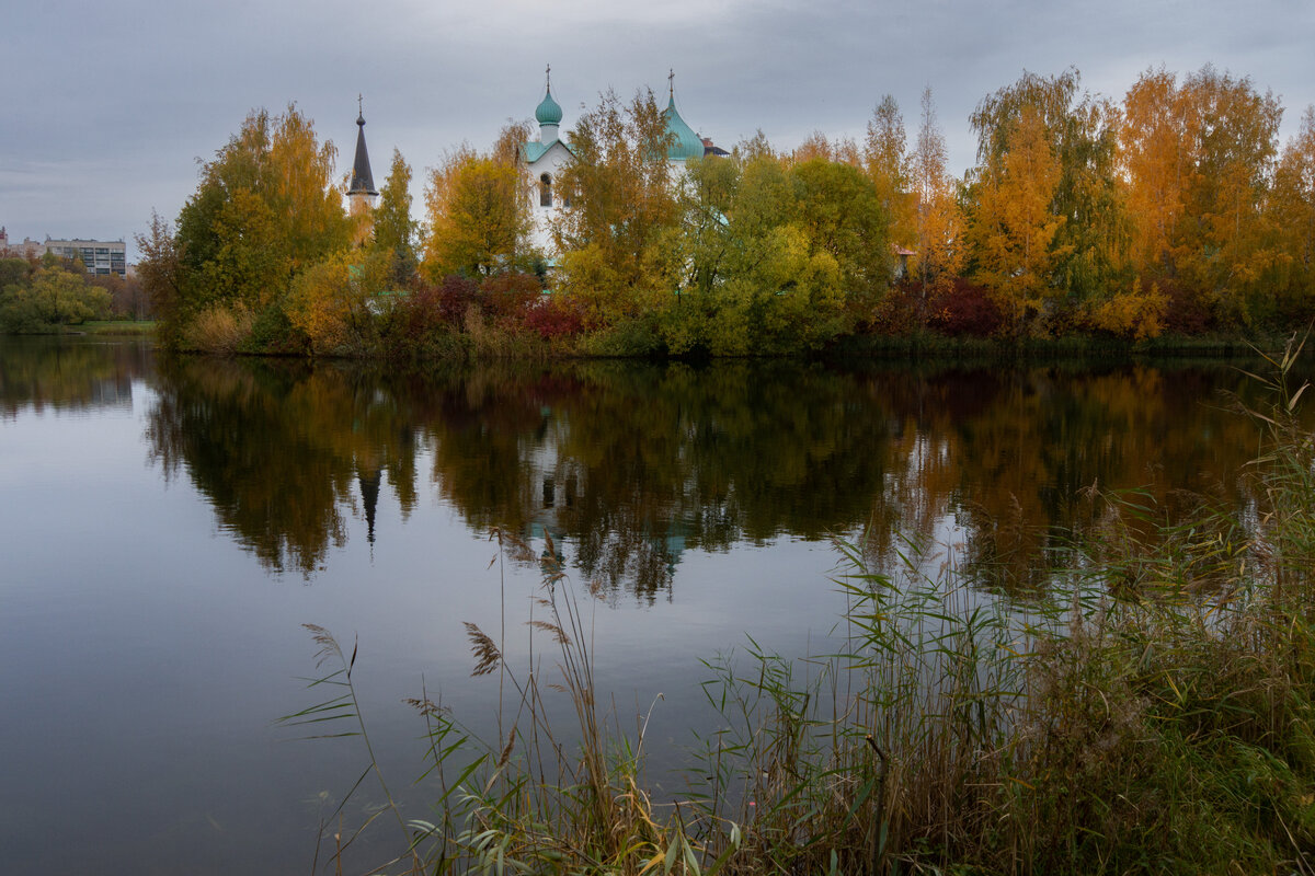 Осень на Лягушачьем болоте