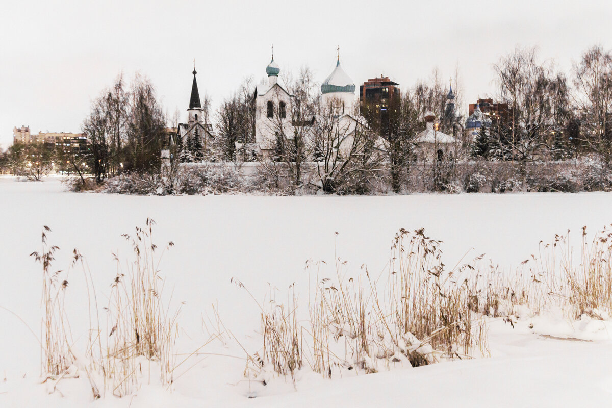 Зима на Лягушачьем болоте