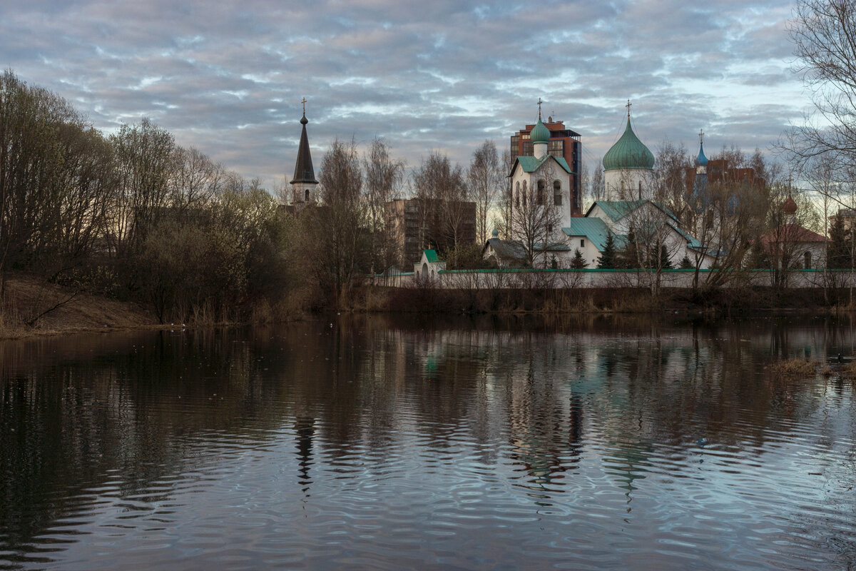 Весна на Лягушачьем болоте