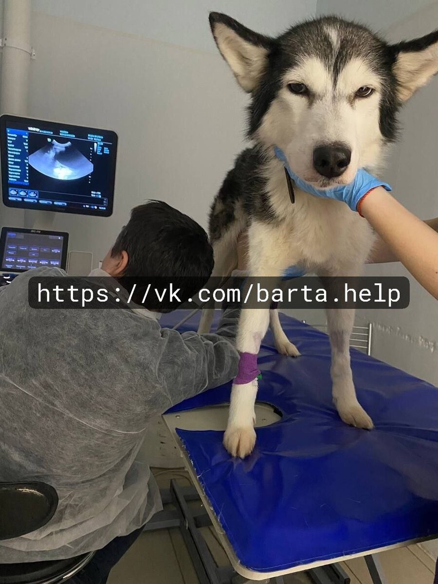 Муна снова на узи после операции