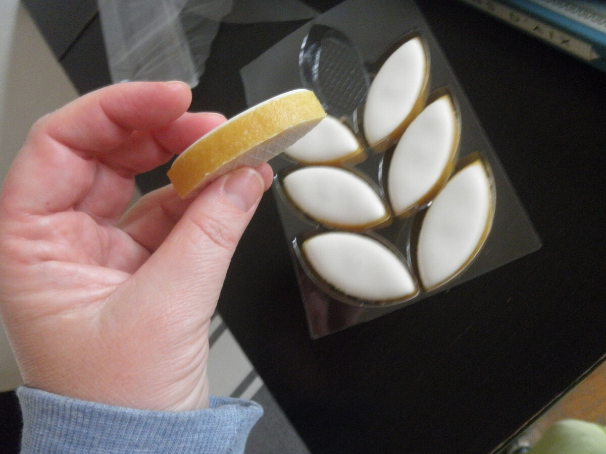 Все фотографии авторские ©AzurevaMarinaBOOKS