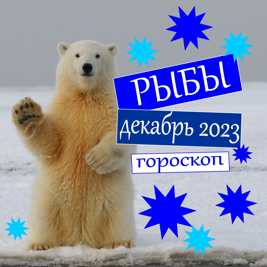 Рыбы. Гороскоп на декабрь 2023: деньги, любовь, работа, здоровье | Гороскопы  от Астролога | Дзен