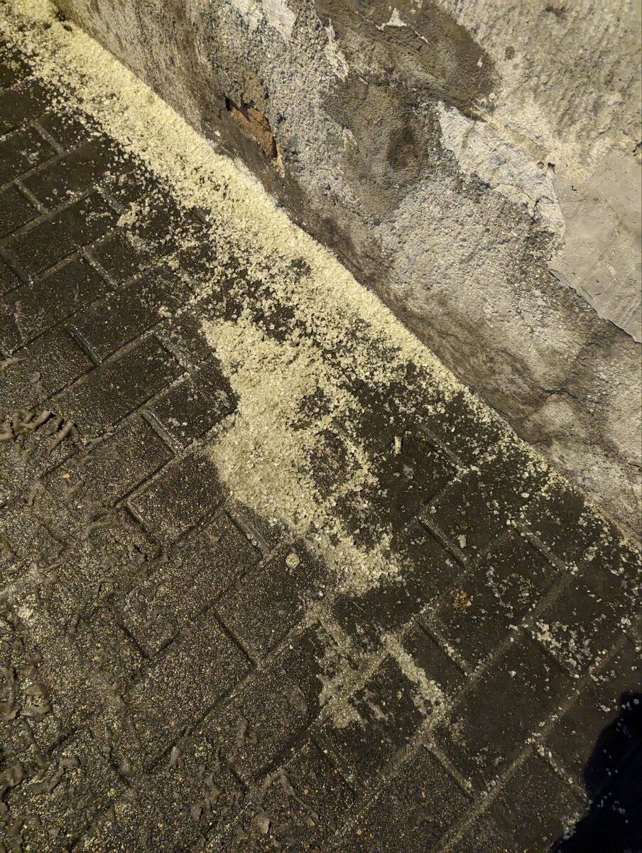 © Форпост Северо-Запад