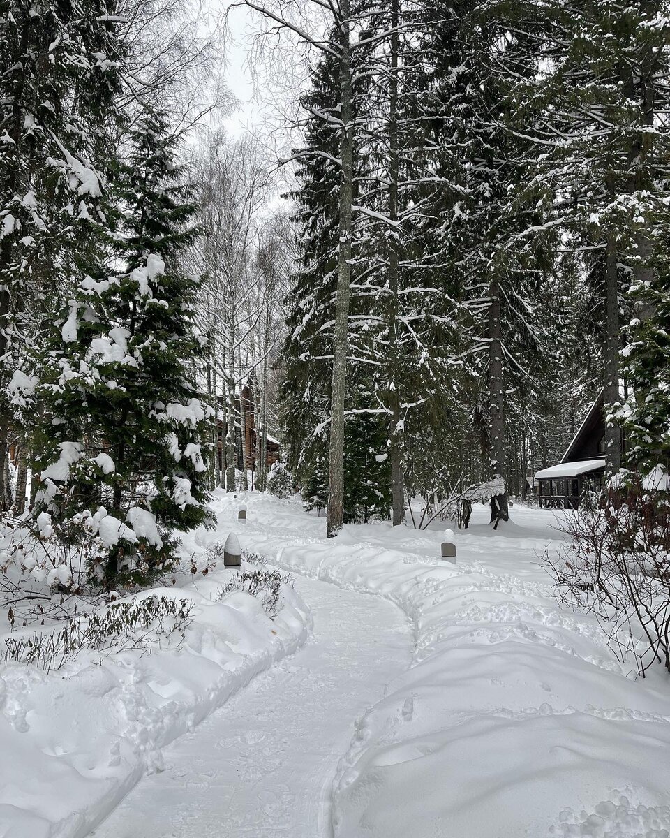 Экоотель "Романов лес" 