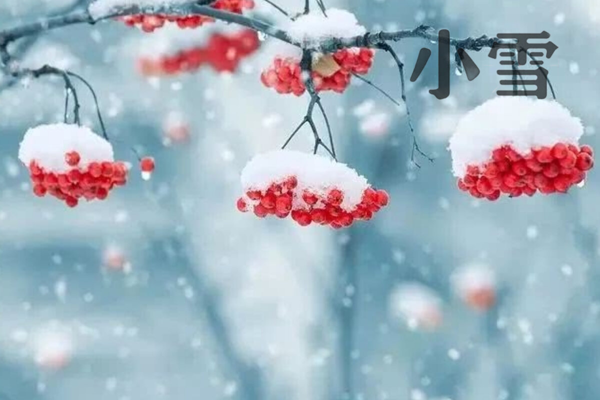 Сезон Сяосюэ 