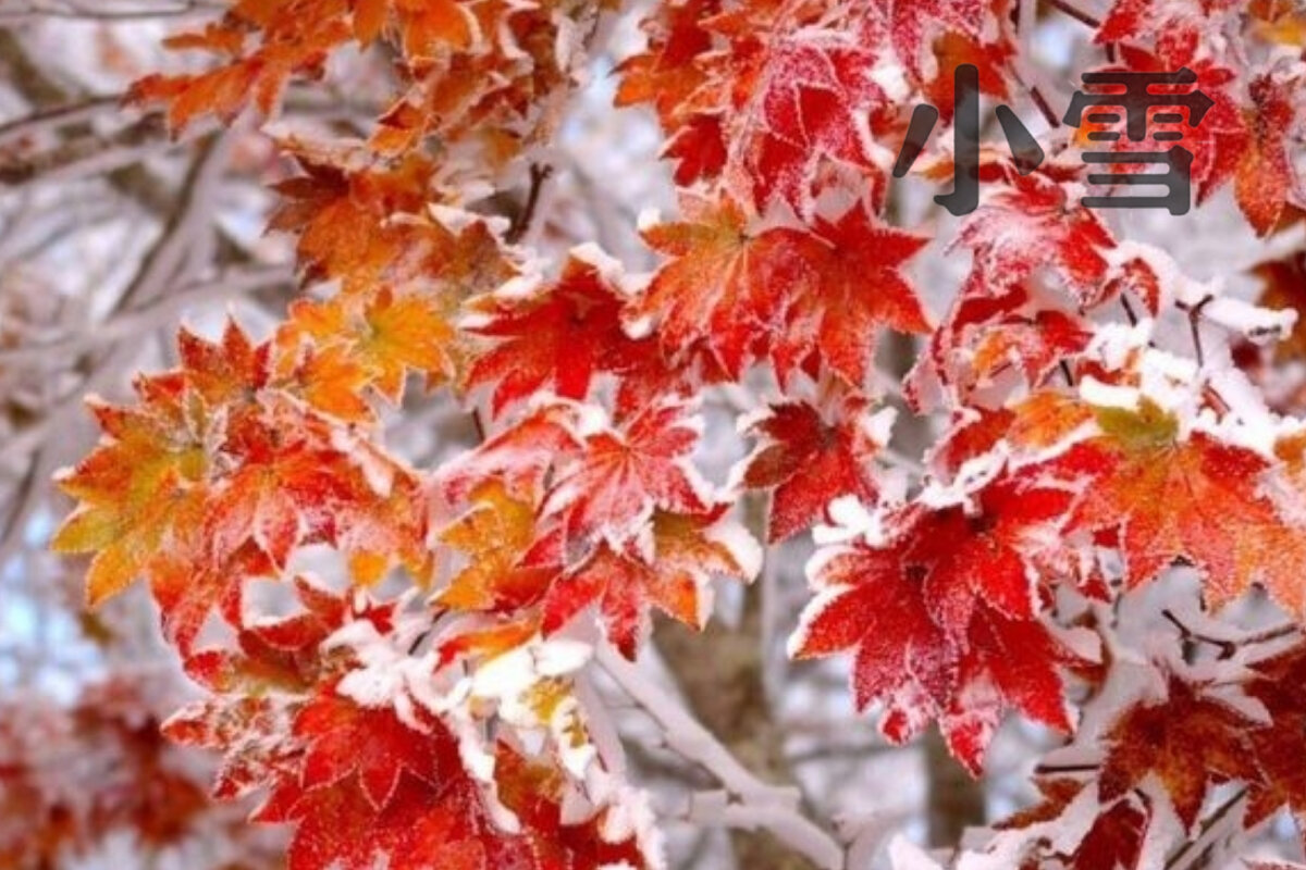 Время холодов