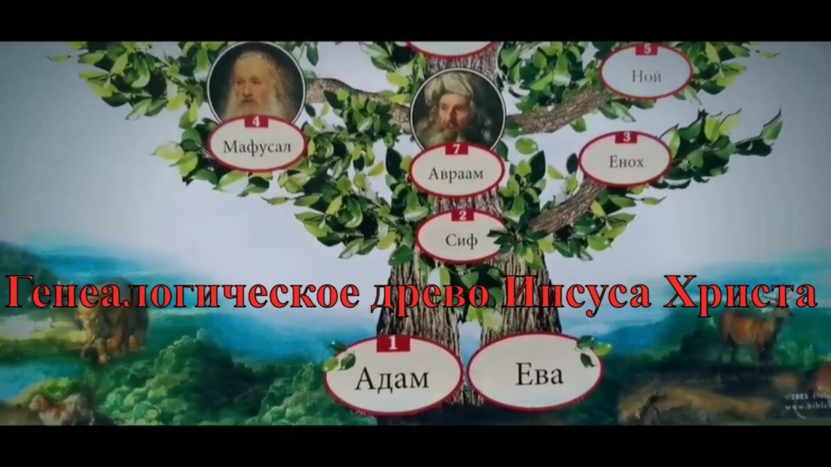 Наглядное изображение.