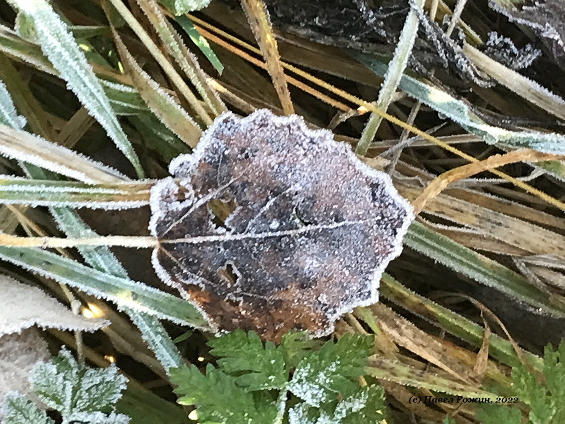 Фото автора