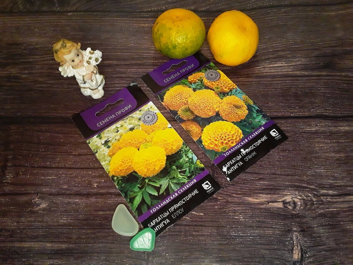 Это хорошие семена, но ценник на них негуманный