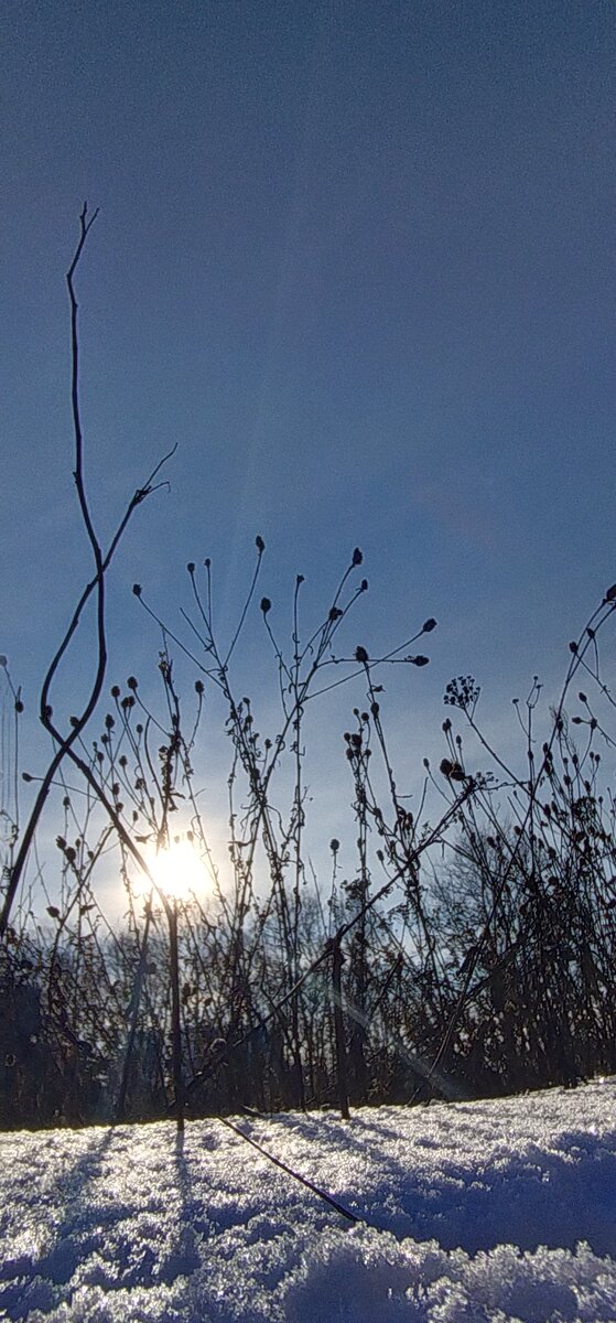 Личное фото