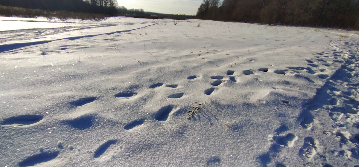 Личное фото