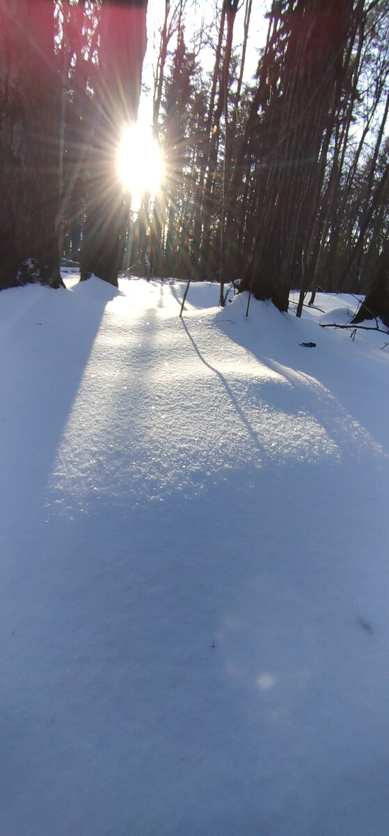 Личное фото