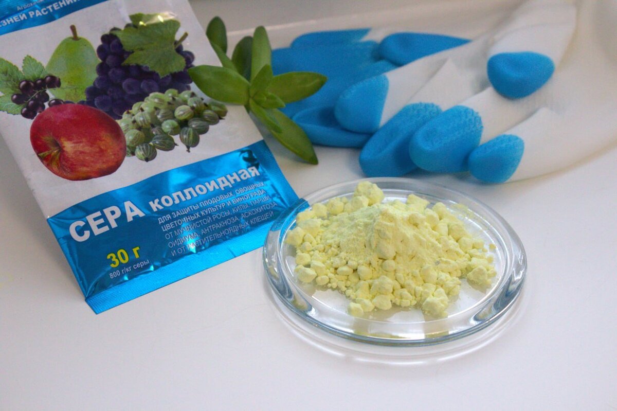    Сера нужна растениям