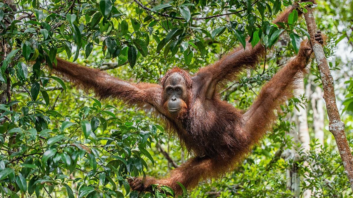    Фото: Shutterstock