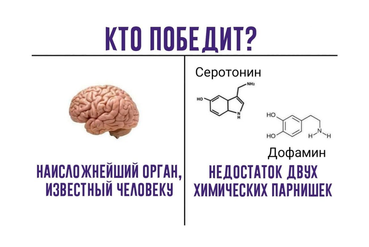 Серотонин картинки для презентации