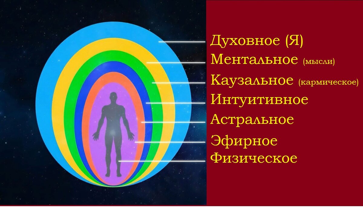 Рисунок 1. 7 тел человека 