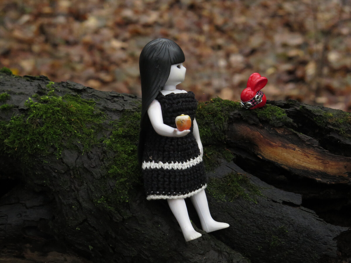 Куклы из моей коллекции. Фотографии авторские.