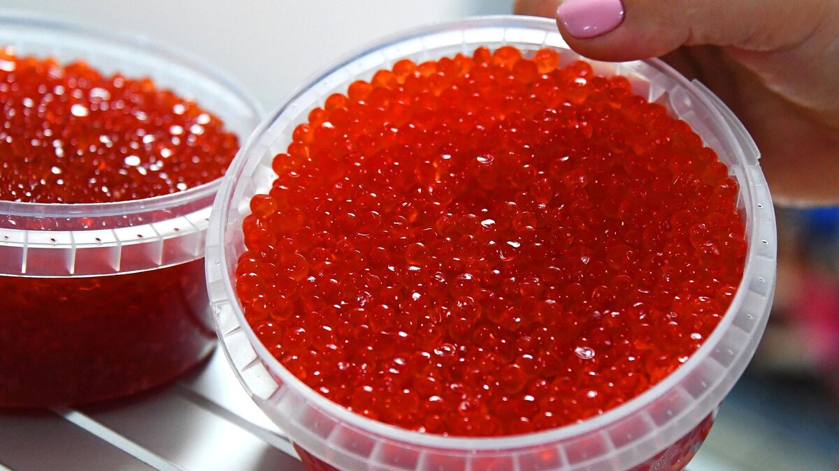    Хотите купить не только красную рыбу, но и икру? Внимательно осмотрите тушку перед покупкой© РИА Новости | Виталий Аньков