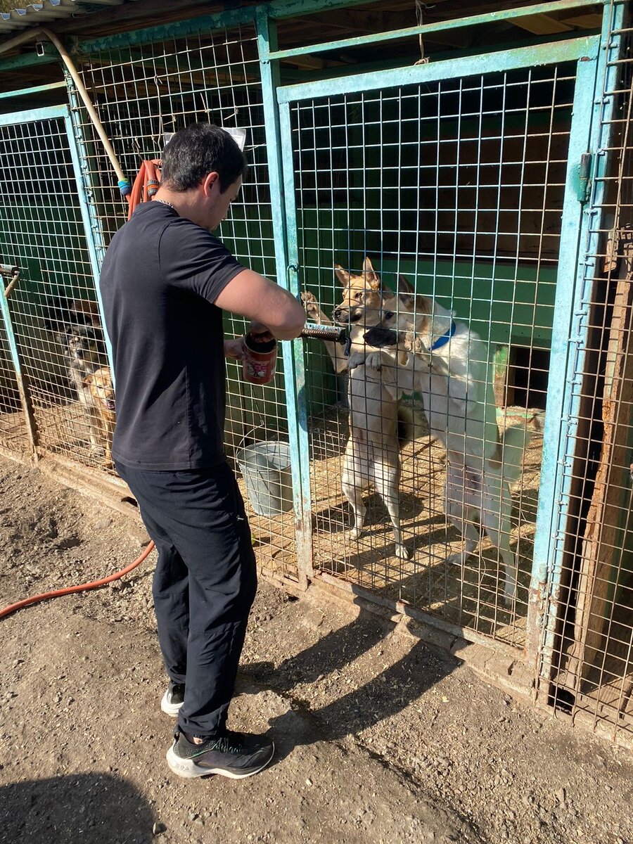 Денис угощает заводных сестричек, но и соседям во всему ряду обязательно по ложечке достанется)