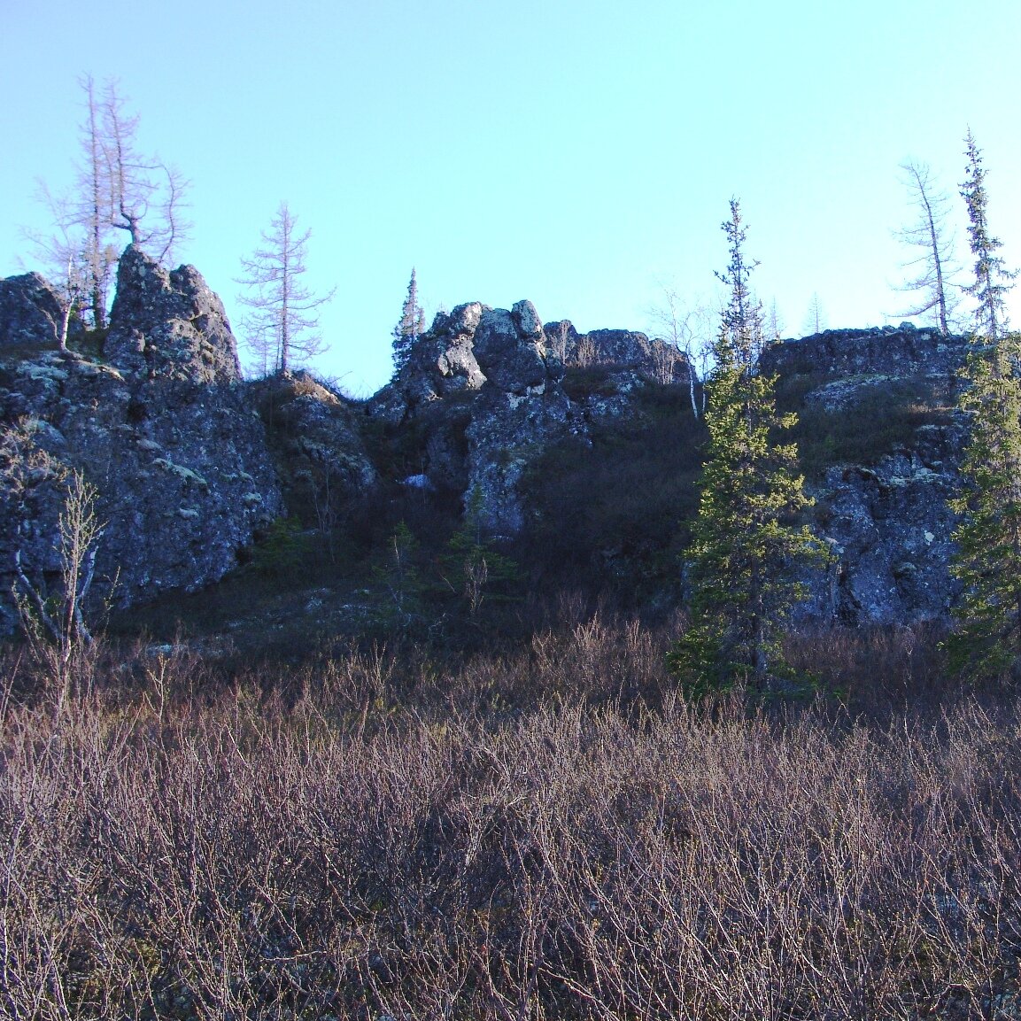 где-то тут (фото автора)