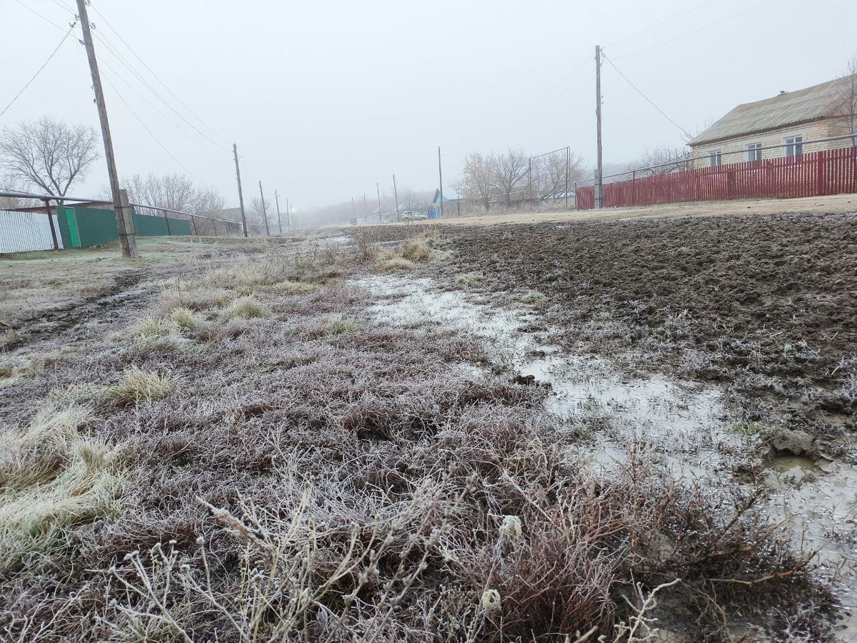 12 ноября 2023года