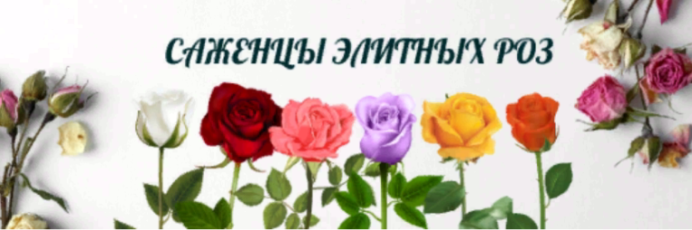 Фрагмент письма