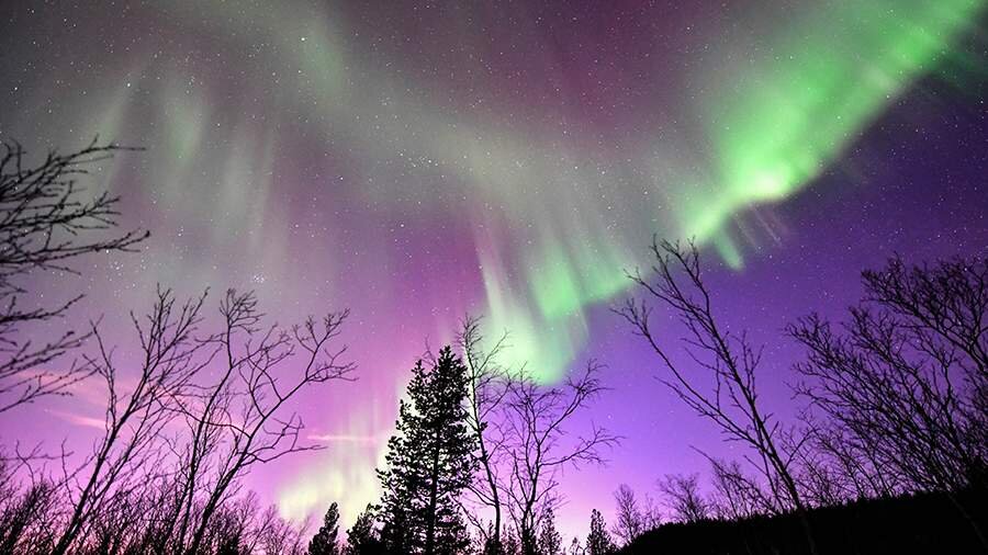 Фото: ТАСС/Лев Федосеев