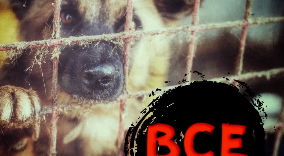 Ну вот и все...