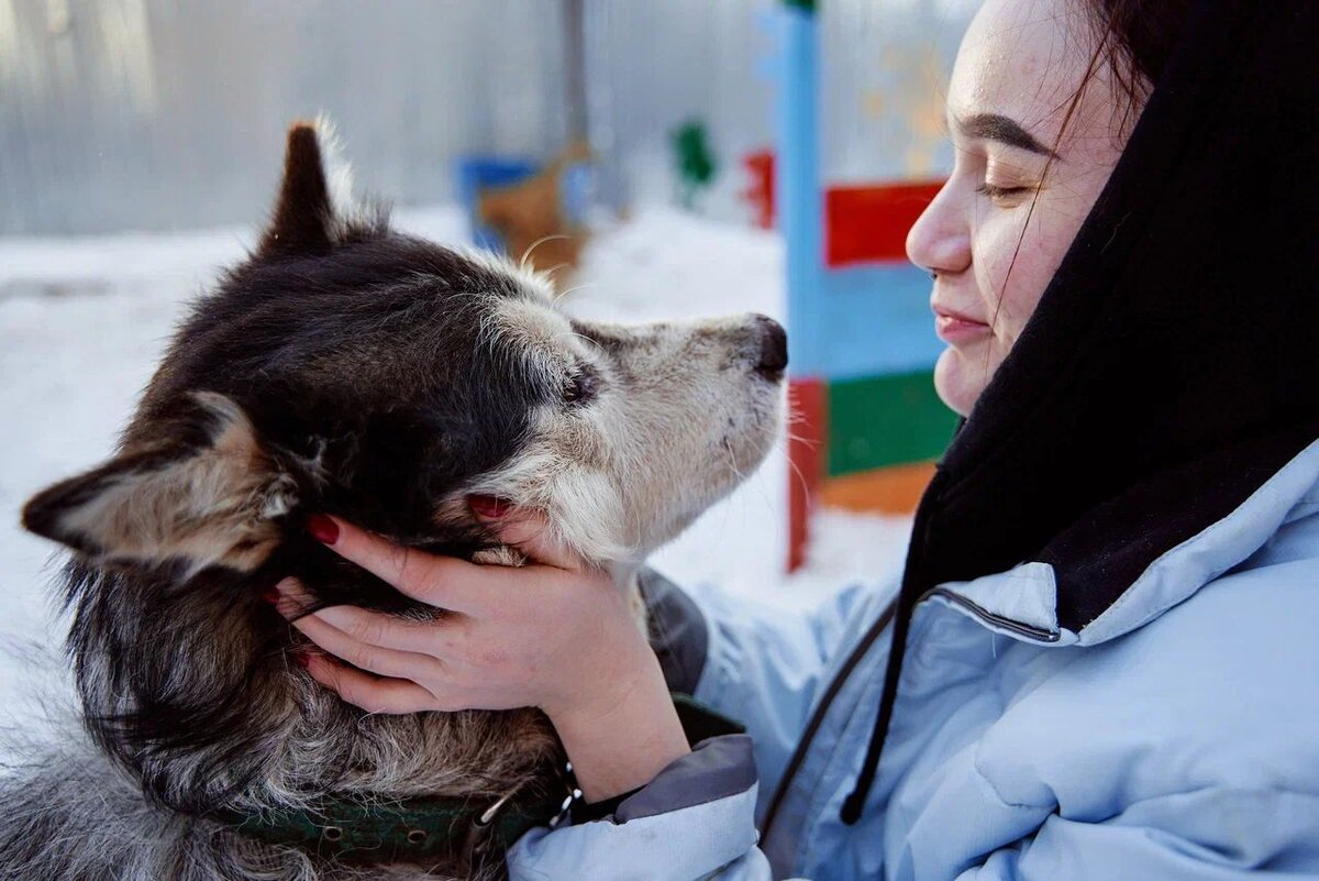 Ну вот и все... | Приют животных Омские Хвостики | Дзен