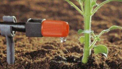 Фото с сайта yuz.uz