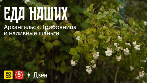 ЕДА НАШИХ. Архангельск: ГРИБОВНИЦА и НАЛИВНЫЕ ШАНЬГИ. Эксклюзивно в Дзене