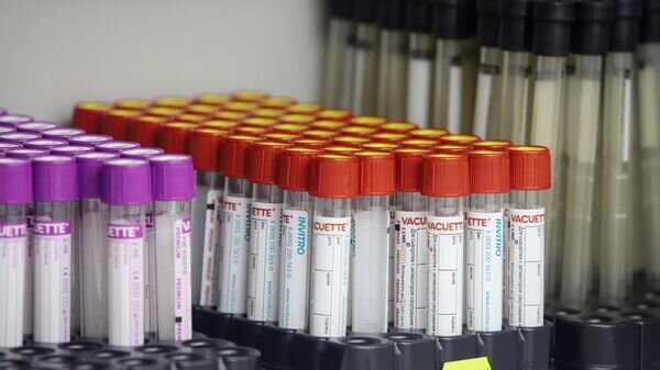    © Sputnik / Денис Абрамов