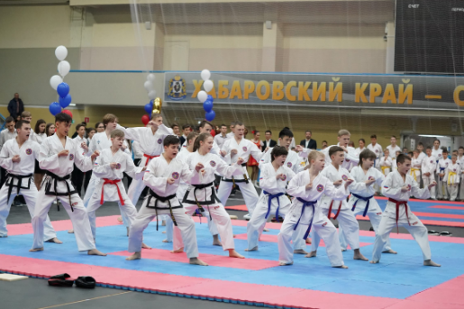  Площадка, на которой проводят соревнования называется «доянг».