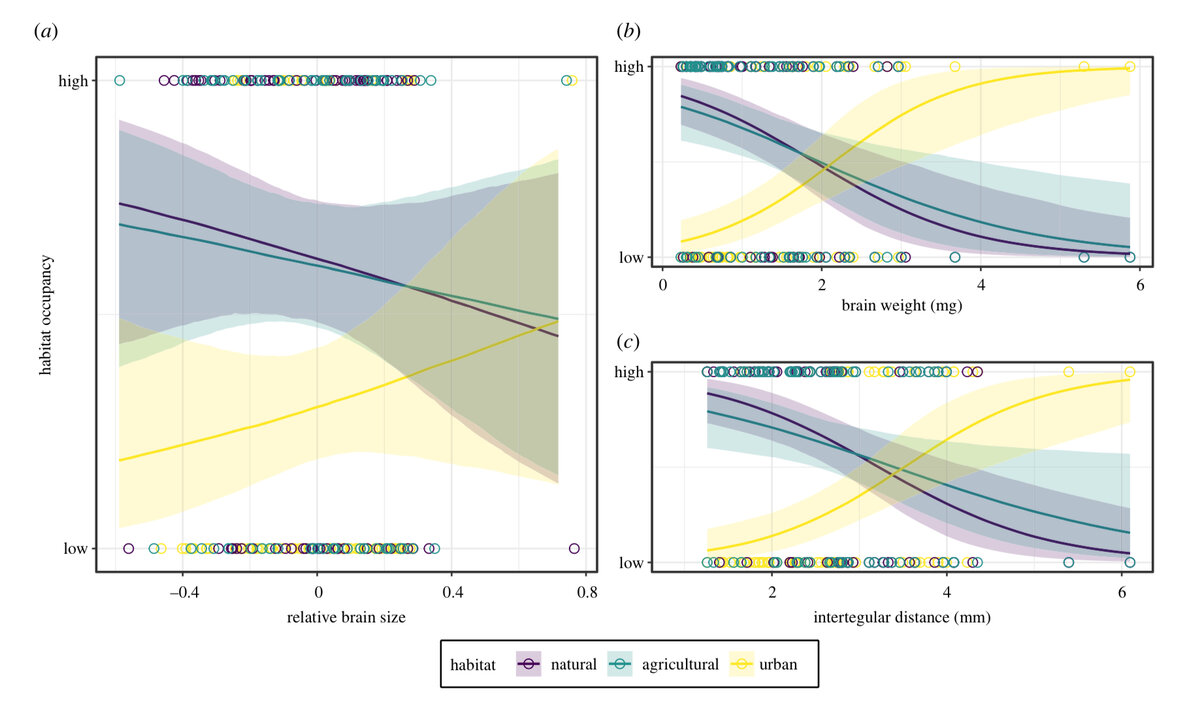   Jose B. Lanuza et al. / Biology Letters, 2023