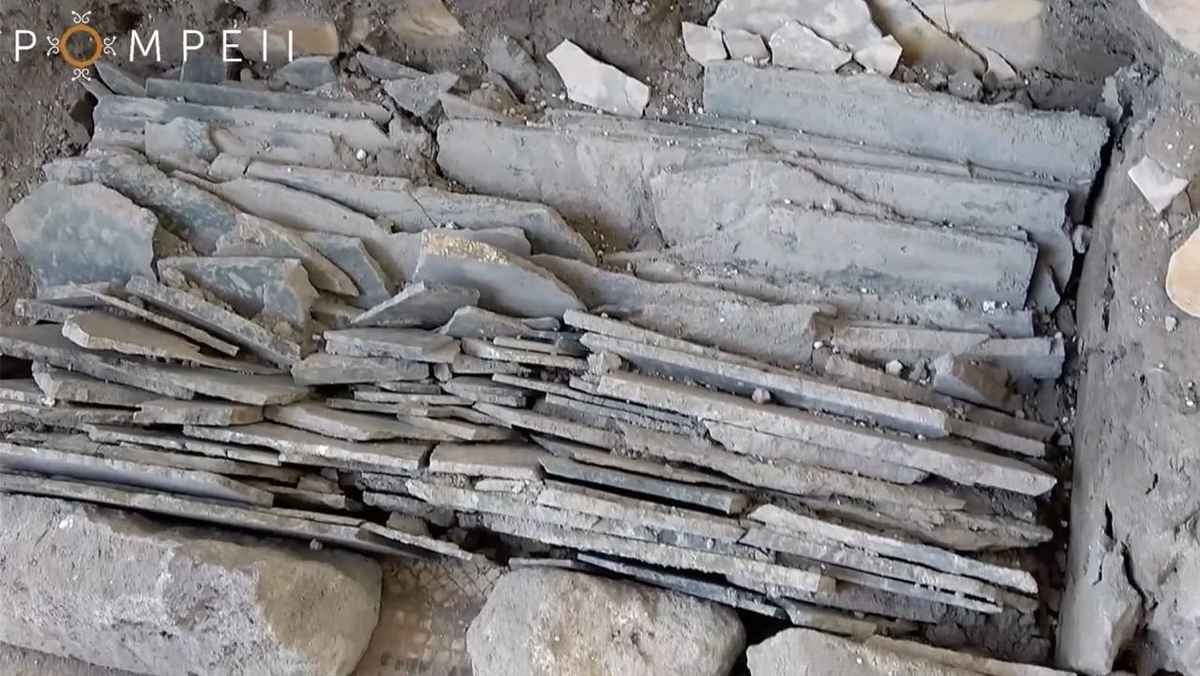 Добавьте описание