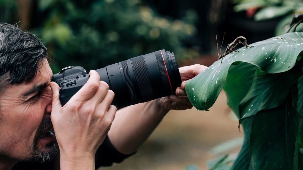 Sigma выпустит первые объективы для Canon RF в феврале | PHOTAR | Дзен