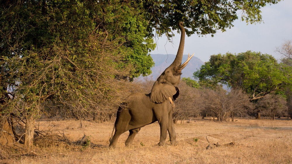    Фото: Shutterstock