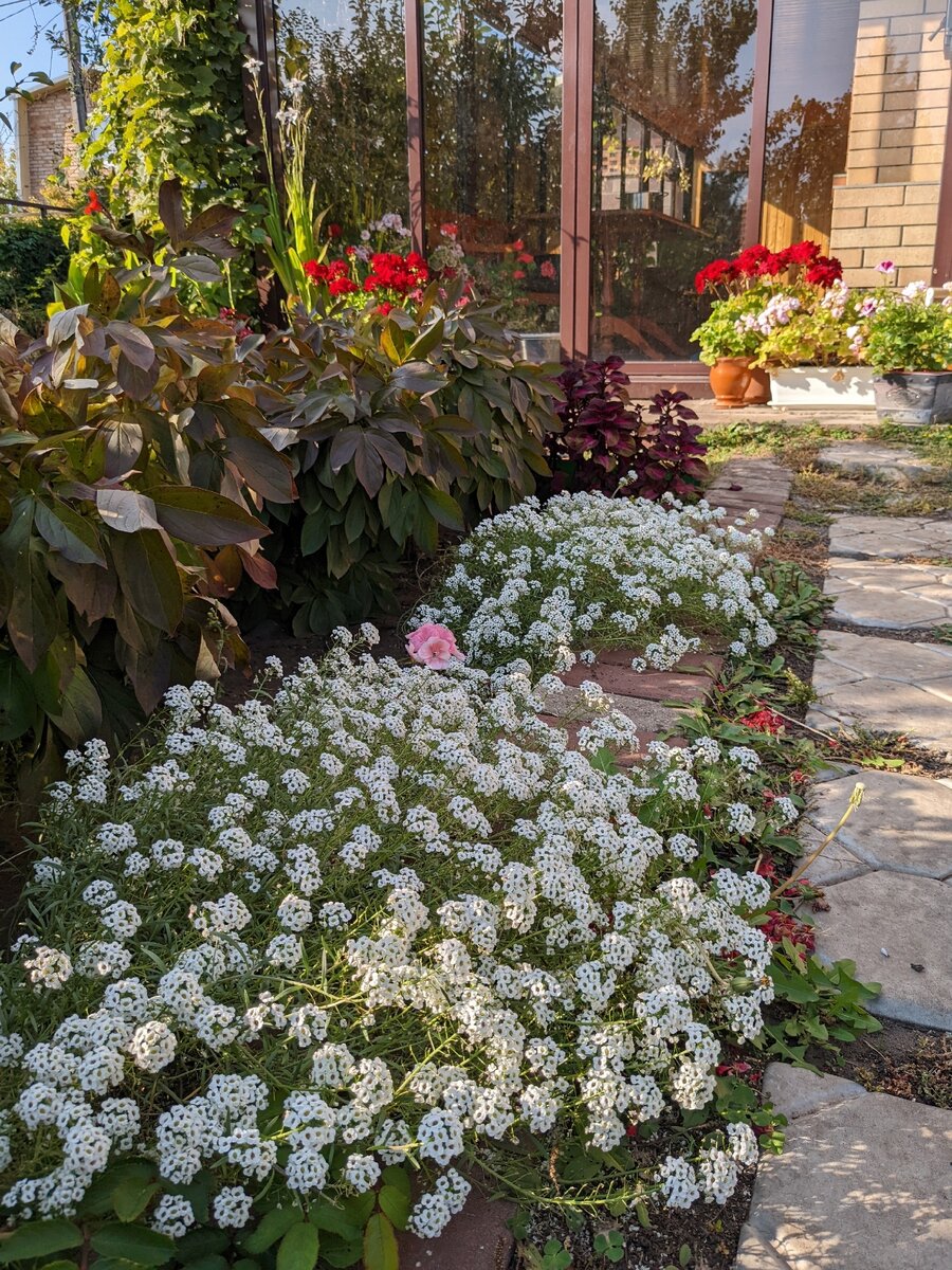 Вход в дом с южной стороны