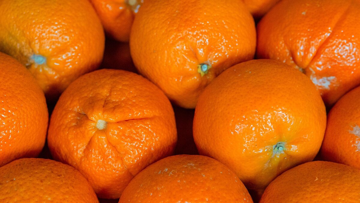 Фото: pexels.com