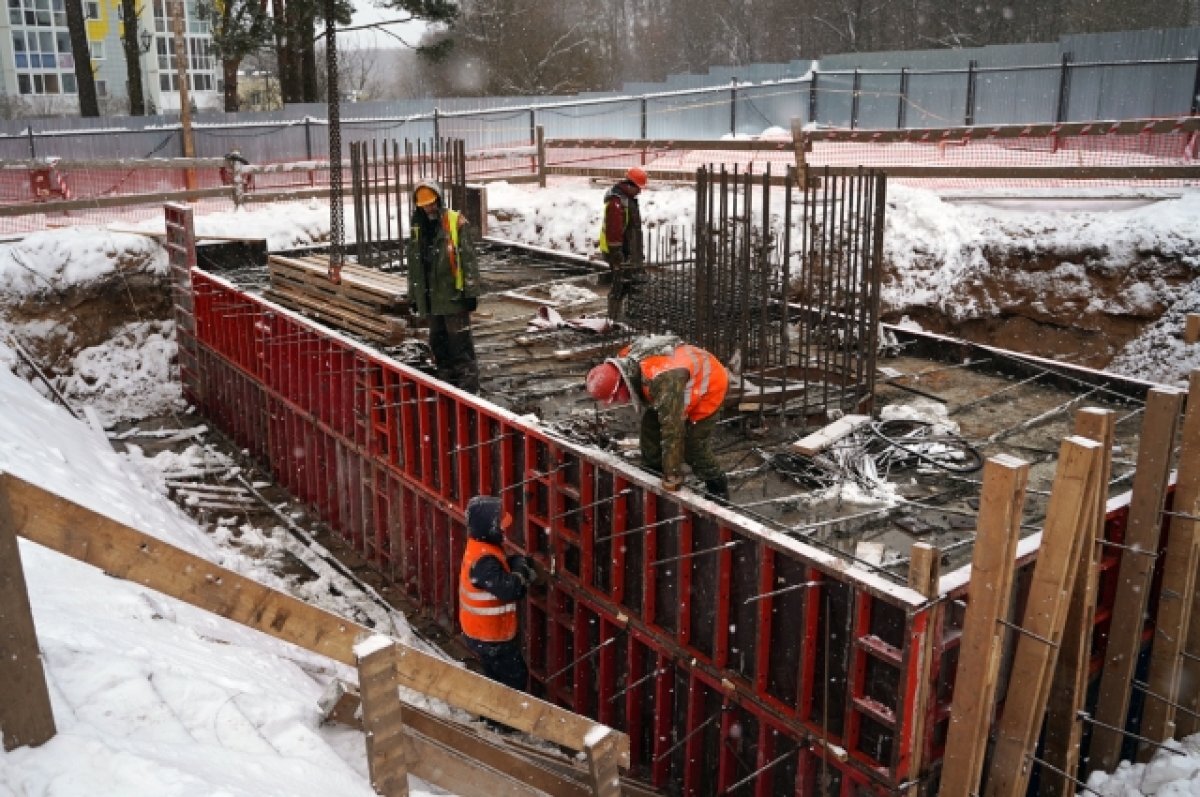    При строительстве моста на Фрунзе в Твери будет обеспечен проход в рощу