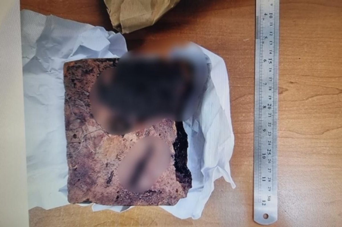    Омич ради денег забил насмерть старушку кирпичом