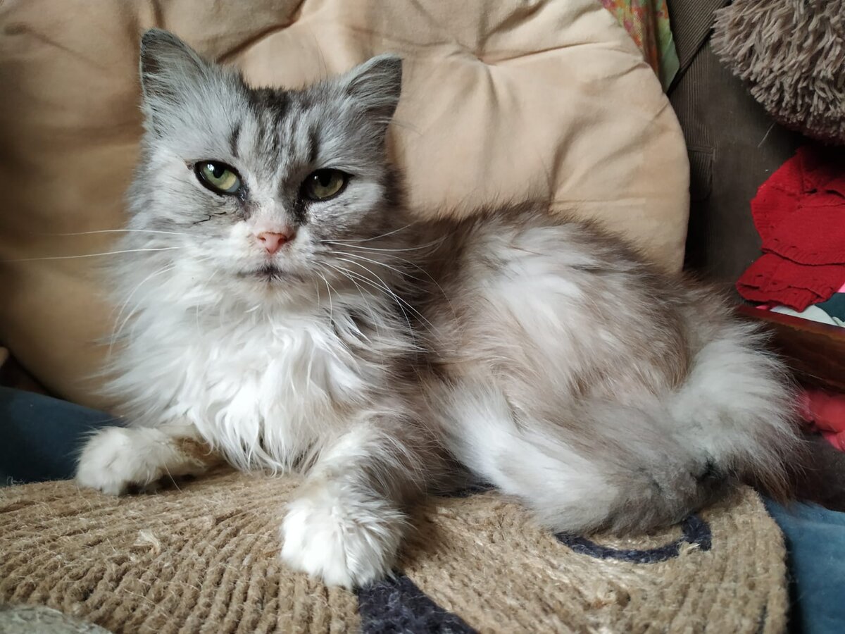 Красавица Зося, фото предоставлено куратором.