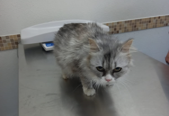 Поначалу Зося с недоверием смотрела на врачей, но терпеливо вынесла все осмотры.