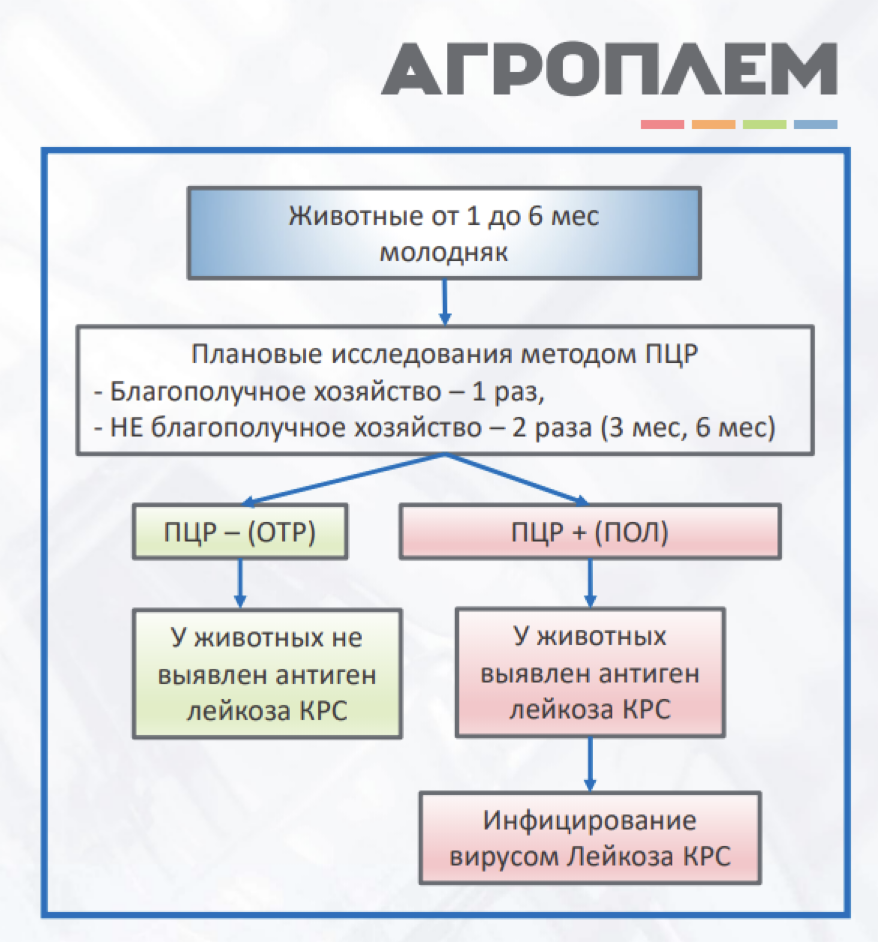 Агроплем