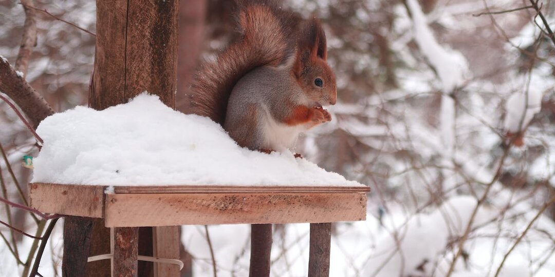 Дачные работы в декабре