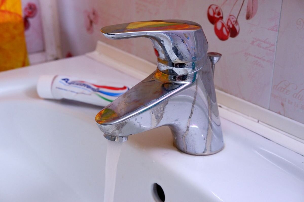 Фото: Е. Зимней.