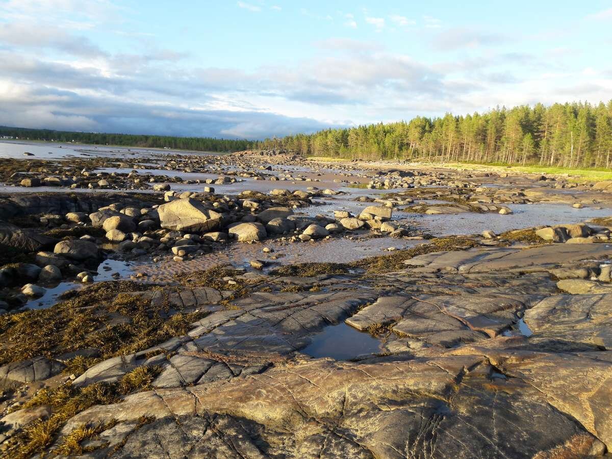 Вдоль реки Онега: Турчасово, Пияла, Сырья