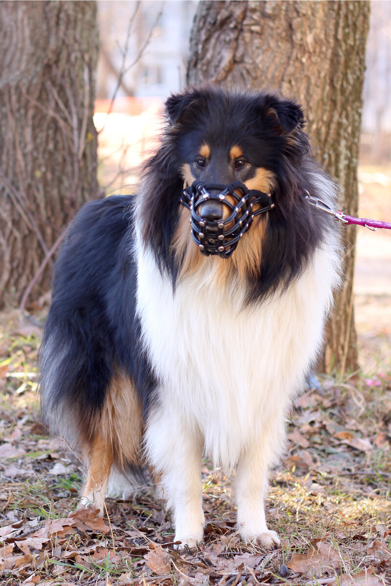 Ника в образе Ганнибала Лектера)))