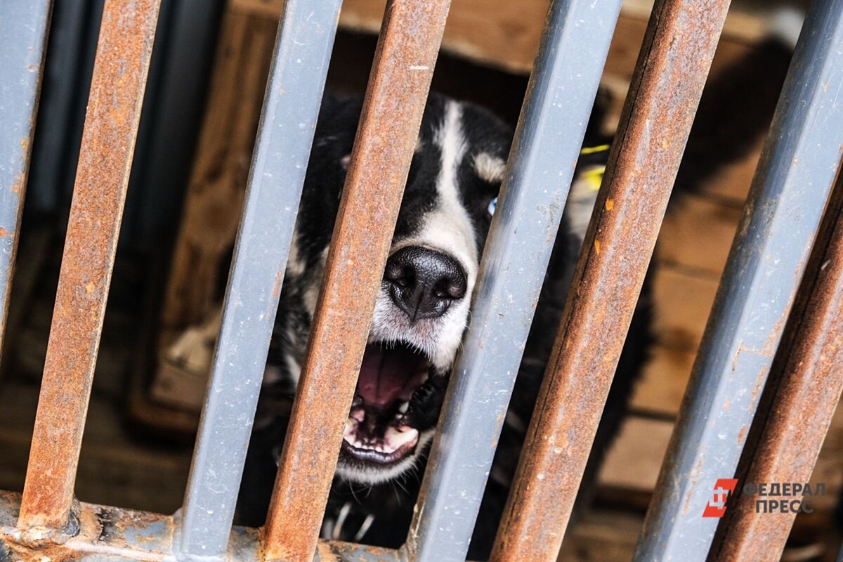 Порядок работы в пунктах временного пребывания еще не конкретизирован.  Фото: Фото: ФедералПресс / Полина Зиновьева