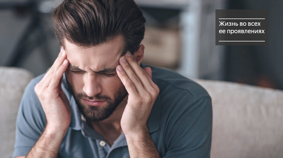 Яндекс картинки